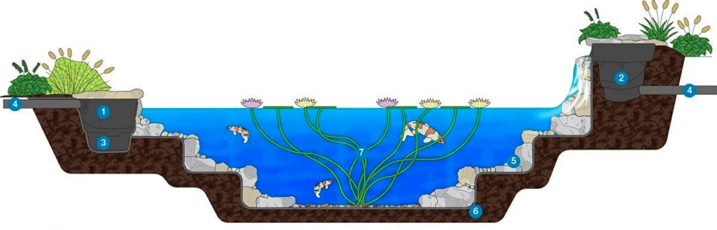 Aquascape Pond Diagram